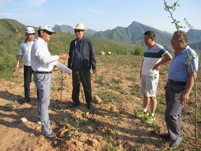 河北井陘開展農業(yè)專項資金審計，助力農業(yè)開發(fā)提質增效