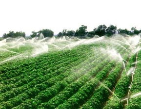 打破“靠天收” 精準農業(yè)引領現(xiàn)代農業(yè)發(fā)展新篇章