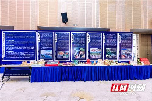 農博現(xiàn)場丨簽約金額超45億，湖南農業(yè)招商引資對接會助力中部農產(chǎn)品加工業(yè)發(fā)展