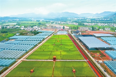 江西贛州 深耕富硒沃土，繪就現代農業新圖景