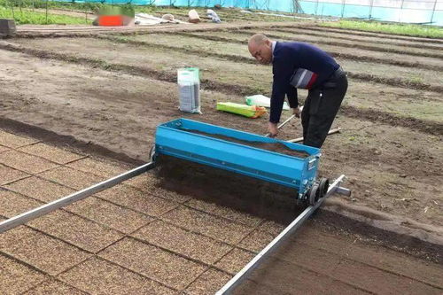 責(zé)任鑄就誠(chéng)信，匠心滋養(yǎng)沃土——記興安盟嶺南香農(nóng)產(chǎn)品開(kāi)發(fā)有限責(zé)任公司的農(nóng)業(yè)開(kāi)發(fā)之路