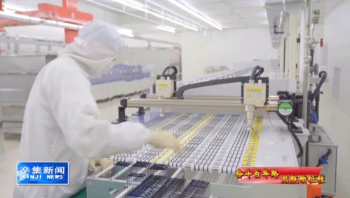 科技引領未來，創新驅動發展 計算機技術開發的浪潮與方向